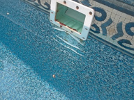 Swimming Pool Inspection Services